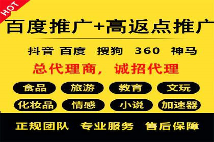 SEM代运营经典案例解析与启示