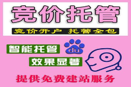 SEM竞价优化实战经验分享：成功案例背后的秘密